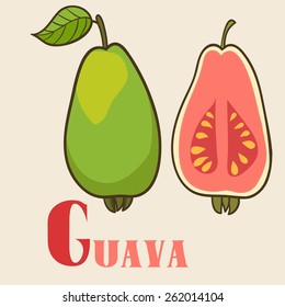 G for guava. Vector Illustration, hand-drawn style.