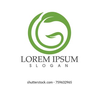 G leaf green nature logo and symbol template Vector 
