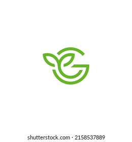 G leaf logo Design Template Vector Graphic Branding Element.
