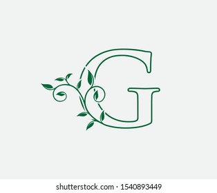 G Letter. Green Leaf Letter G Logo Vector,  Eco Bio Leaf Letter Icon Illustration Logo.