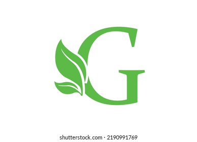 G letter logo with leaf. Creative modern Nature logo design for G
