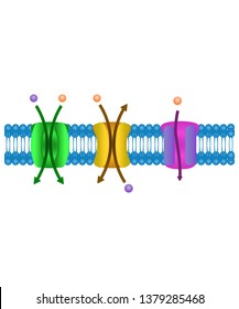 G Protein_1 Icon