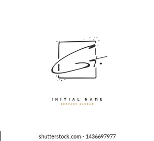 G T GT Beauty vector initial logo, handwriting logo of initial signature, wedding, fashion, jewerly, boutique, floral and botanical with creative template for any company or business.
