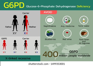 G6PD,Glucose-6-Phosphate Dehydrogenase Deficiency , vector illustration