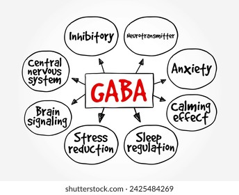 GABA - chief inhibitory neurotransmitter in the developmentally mature mammalian central nervous system, mind map text concept background