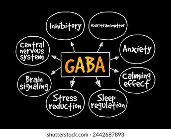 GABA - chief inhibitory neurotransmitter in the developmentally mature mammalian central nervous system, mind map text concept background