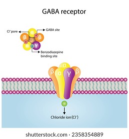 GABA receptor structure, cell membrane. Neurotransmitter gamma-aminobutyric acid, GABA A and GABA B. Top view of ion channel, the five combined subunits, forming Cl ion channel pore.