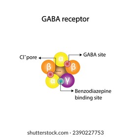 GABA receptor structure, cell membrane. Neurotransmitter gamma-aminobutyric acid, GABA A and GABA B. Top view of ion channel, the five combined subunits, forming Cl ion channel pore. Vector design.