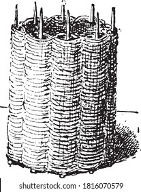 Gabón, del Diccionario de Palabra y Cosas, 1888.