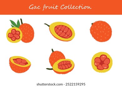 coleção de frutas gac em diferentes poses. Ilustração vetorial.