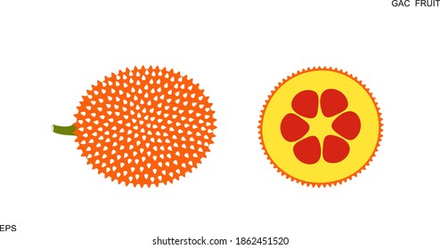 Gac fruit  logo. Isolated gac fruit on white background