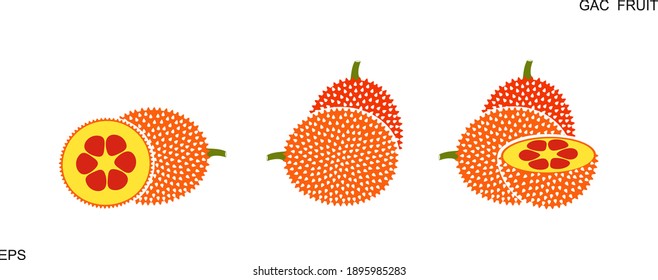 Gac fruit  logo. Isolated gac fruit on white background