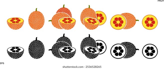 Gac fruit  logo. Isolated gac fruit on white background