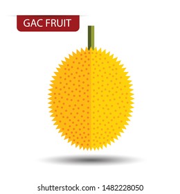 Gac fruit on white background. Flat design style. vector illustration.