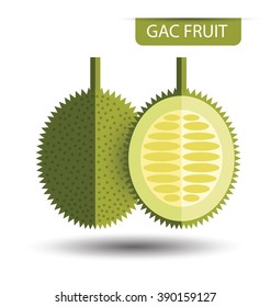 Gac fruit, fruit vector illustration