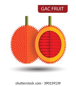 Gac fruit, fruit vector illustration
