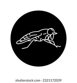 Gadfly black line icon. Pictogram for web page, mobile app, promo.