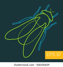 gadfly linear vector illustration. insect outline icon.