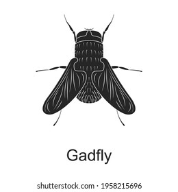 Gadfly vector black icon. Vector illustration pest insect gadfly, on white background. Isolated black illustration icon of pest insect.