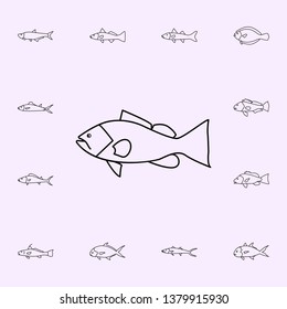 Gag Grouper Icon. Fish Icons Universal Set For Web And Mobile