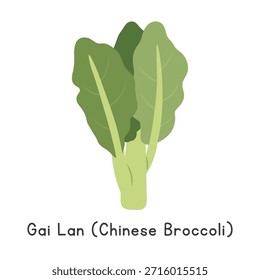 Ilustración vectorial plana de la historieta del brócoli de Gai Lan o chino aislada en el fondo blanco