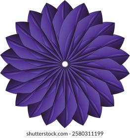 Galactic Petal Flower.Illustration vector design with white background.