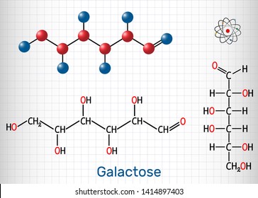 Galactose, D-galactose, milk sugar molecule. Linear form. Structural chemical formula and molecule model. Sheet of paper in a cage. Vector illustration