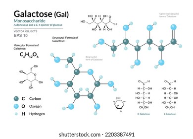 Galactose. Gal. Monosaccharide. Structural Chemical Formula and Molecule 3d Model. C6H12O6. Atoms with Color Coding. Vector Illustration 