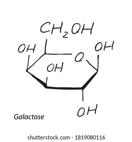 Galactose molecule formula. Hand drawn imitation of Gal monosaccharide sugar structural model. C6H12O6 chemistry skeletal formula, galactose vector icon symbol