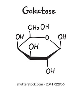 Galactose molecule formula. Hand drawn imitation of Gal monosaccharide sugar structural model. C6H12O6 chemistry skeletal formula, galactose vector icon symbol