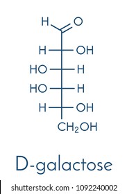 Galactose sugar molecule. Present in milk and dairy products. Skeletal formula.