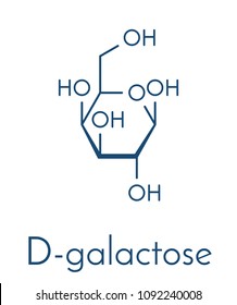 Galactose sugar molecule. Present in milk and dairy products. Skeletal formula.