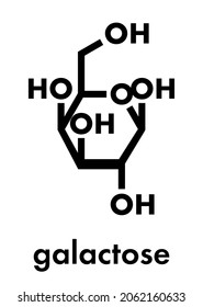 Galactose sugar molecule. Present in milk and dairy products. Skeletal formula.