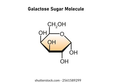 Galactose Sugar Molecule Science Design. Vector Illustration.