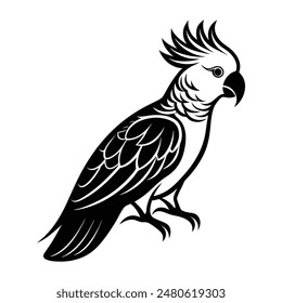 Galah bird Silhouette Artistic Nature Design