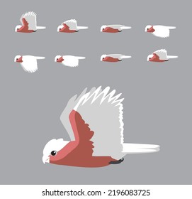 Galah Cockatoo Flying Animation Sequence Cartoon Vector
