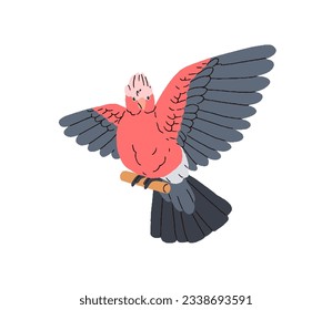 Galah, rose-breasted cockatoo. Pink and grey winged parrot on perch. Cute funny jungle bird, exotic tropical birdie, Eolophus roseicapilla. Flat vector illustration isolated on white background