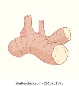 Galangal flat design cartoon icon illustration