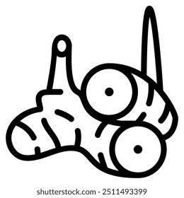 galangal icon with outline style. Suitable for website design, logo, app and UI. Based on the size of the icon in general, so it can be reduced.