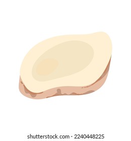 Galangal slice icon. Ginger spice sliced. Thai and Asian cuisine.