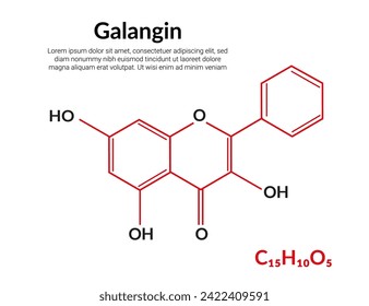 Galangin plant flavonol, molecular structure formula, suitable for education or chemistry science content. Vector illustration