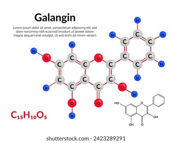 Galangin plant flavonol, molecular structure formula, ball-and-stick model, suitable for education or chemistry science content. Vector illustration