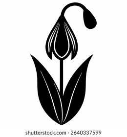Galanthus nivalis 'Green Tear' Snowdrop Flower Silhouette Isolated on White Background – Minimalist Vector Illustration

