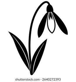 Galanthus 'S. Arnott' Snowdrop Flower Silhouette Isolated on White Background – Minimalist Vector Illustration