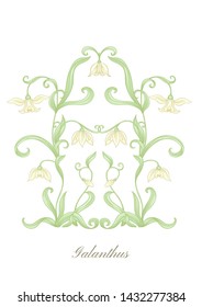 Galanthus, snowdrop, nivalis. Set of elements for design Colored vector illustration. In art nouveau style, vintage, old, retro style. Isolated on white background.
