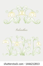 Galanthus, snowdrop, nivalis. Set of elements for design Colored outline vector illustration. In art nouveau style, vintage, old, retro style. On grey background.