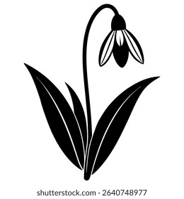 Galanthus 'Wendy's Gold' AGM Snowdrop Flower Silhouette Isolated on White Background – Minimalist Vector Illustration