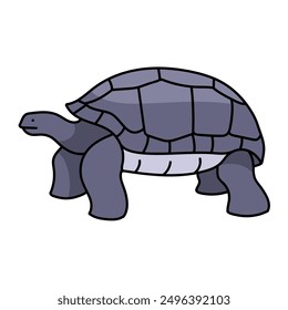 galapagos giant tortoise hand drawn color vector illustration