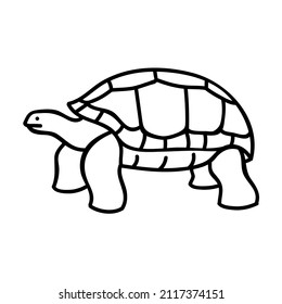 Galapagos giant tortoise icon. Hand drawn vector illustration. Editable line stroke.