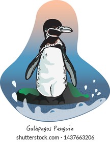 Galapagos Penguin Endangered Animals Vector Illustration